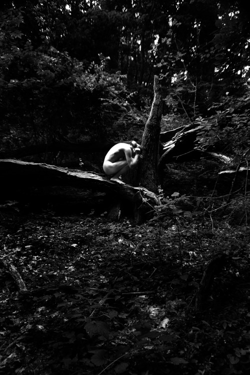 graeandresen: there was this tree that I loved - copyright © Græ Andresen