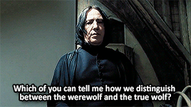 danakathscullys:MISSING BOOK MOMENTS: Ron Defends Hermione↳ Prisoner of Azkaban (page 172)“That is t