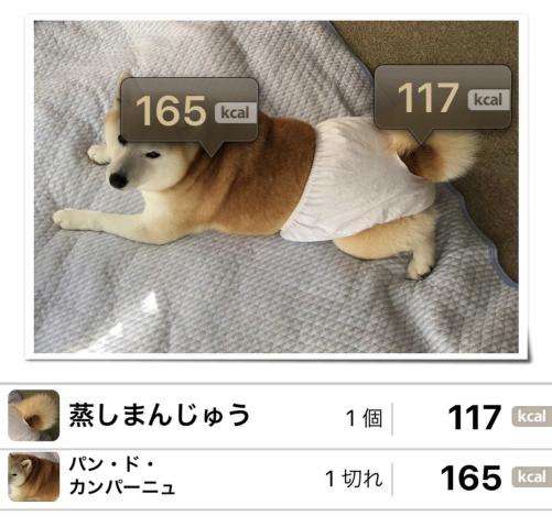 erarg:    the meme of today of these japanese dogs i follow is this app that you