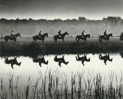 last-picture-show:Hein Gorny, Pferde, 1936