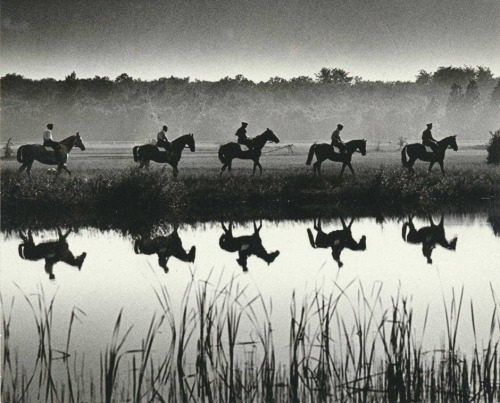 last-picture-show:Hein Gorny, Pferde, 1936