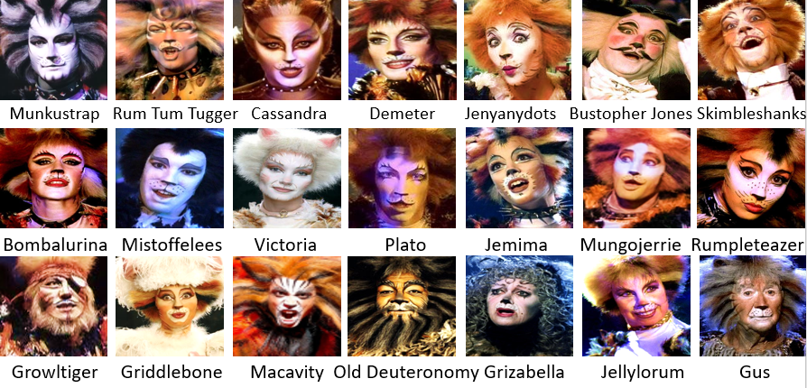 Cats The Musical