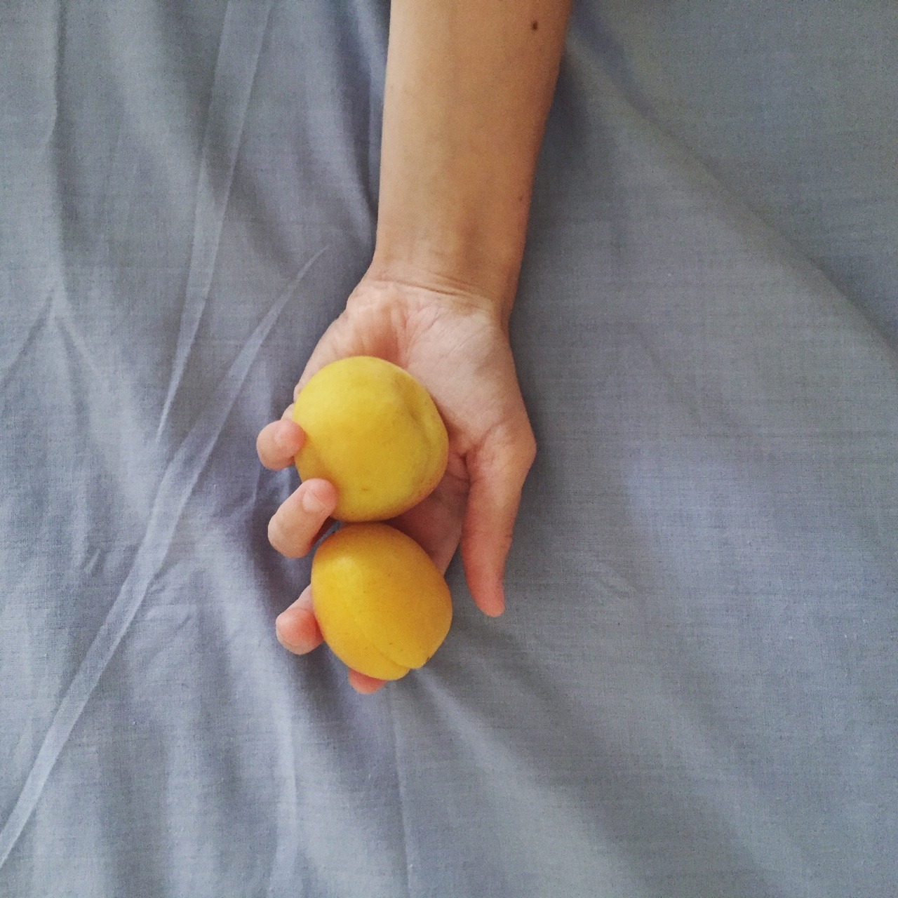 overgolden:  fruit + lullabies for today ig : akalyls 