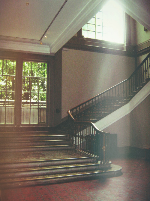 italdred:  Light (by Karl Tonna) 