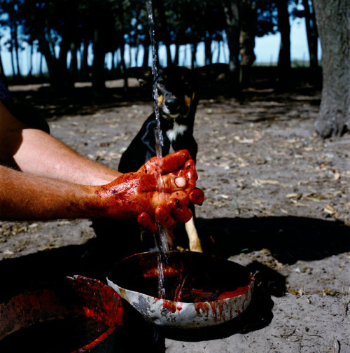 unearthedviews: ARGENTINA. Buenos Aires. 2002. Bloody Hands.