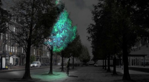 somedudeonasuzuki: sixpenceee: Bioluminscent trees could light up our streets! Dutch designer D