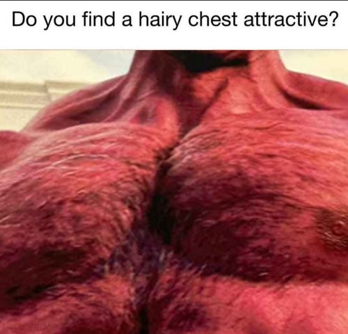Do You Find A Hairy Chest Attractive? Yes Or Yes? What A Difficult Answer.