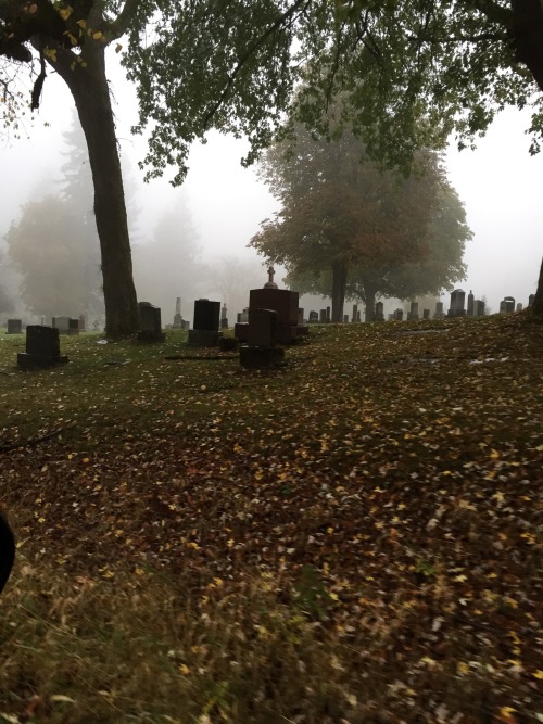 cruelix:Foggy days in cemeteries are my favorite kind of days