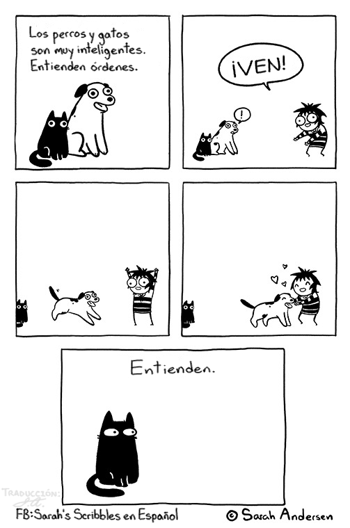 Sarah's Scribbles En Español