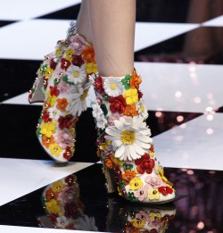 skaodi:  Details from Dolce & Gabbana