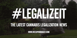 weedporndaily:  Each week we bring you the latest cannabis legalization news, activism, initiatives, protests, and more.LEGALIZE IT:New push to expand medical marijuana in GeorgiaCongressmen Introduce Bipartisan Bill To Eliminate DEA Marijuana…West