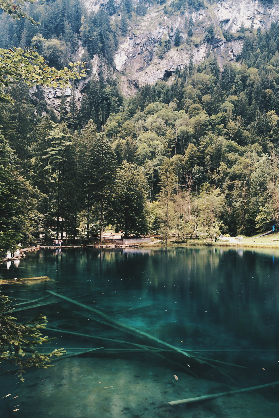 expressions-of-nature:  by Freivalds