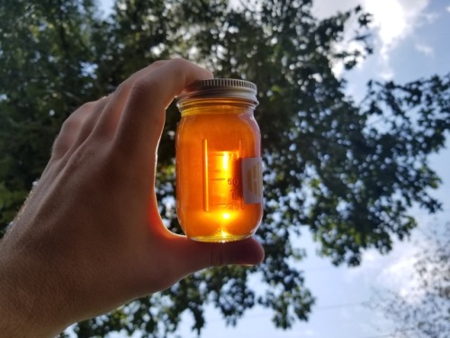 foxthebeekeeper: That’s some goooooooood honey!