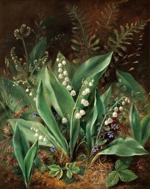 ghostlywatcher:  Albert D 