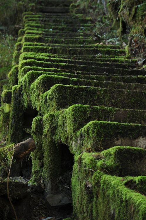 zombilenium: “ Forgotten Steps” Yu-Non Yang Photography