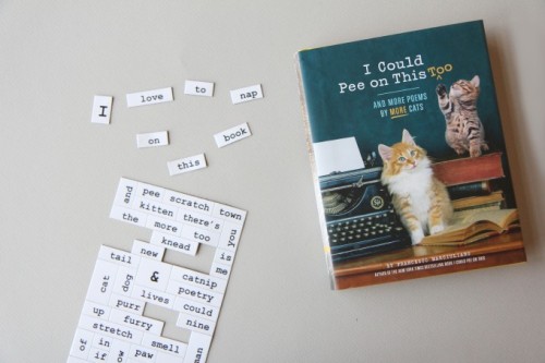 chroniclebooks:  I Could Pee on This, Too by Francesco Marciuliano explores feline em