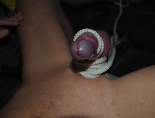 Porn photo My dick seems to enjoy the tied attention….