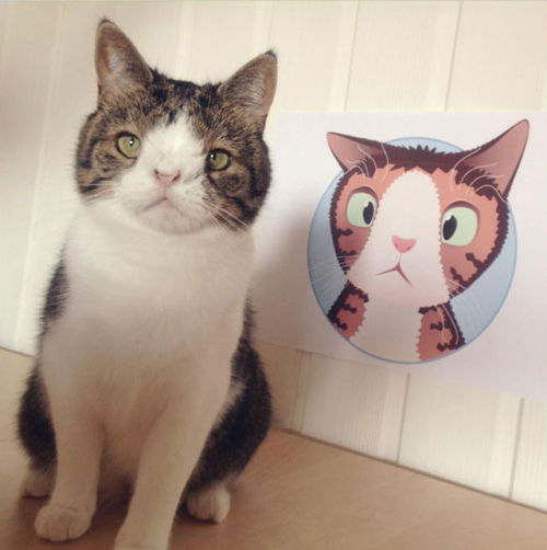 catsbeaversandducks:  Meet Monty: The Adorable Cat With An Unusual Face “A year ago, we adopted little 3-year-old Monty boy from an animal shelter. Monty was born without a nasal bridge (the bone in the nose) which affects him now and then and makes