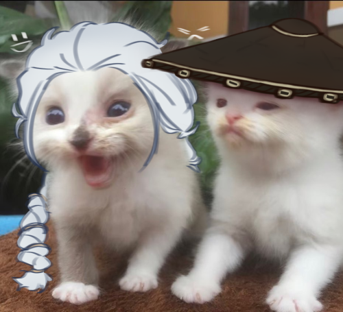 THESE DARN EEPIES