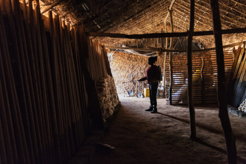 The Mushroom Farm.  Tanoboase, Ghana.