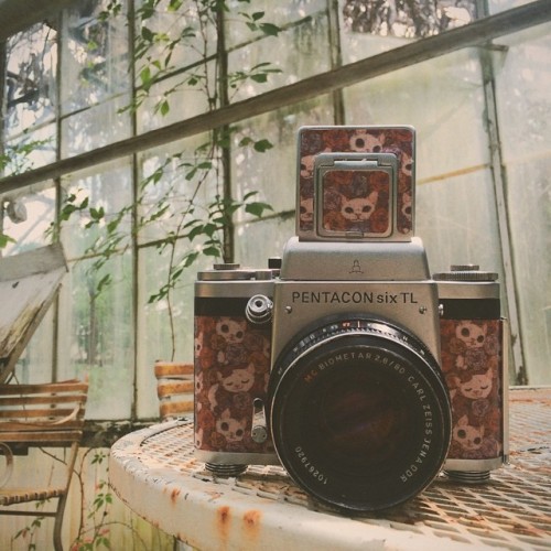 Pentacon Six : 80mm f2.8 Carl Zeiss Biometer Lens Shot in an abandoned greenhouse. Model: Kim O'Mall