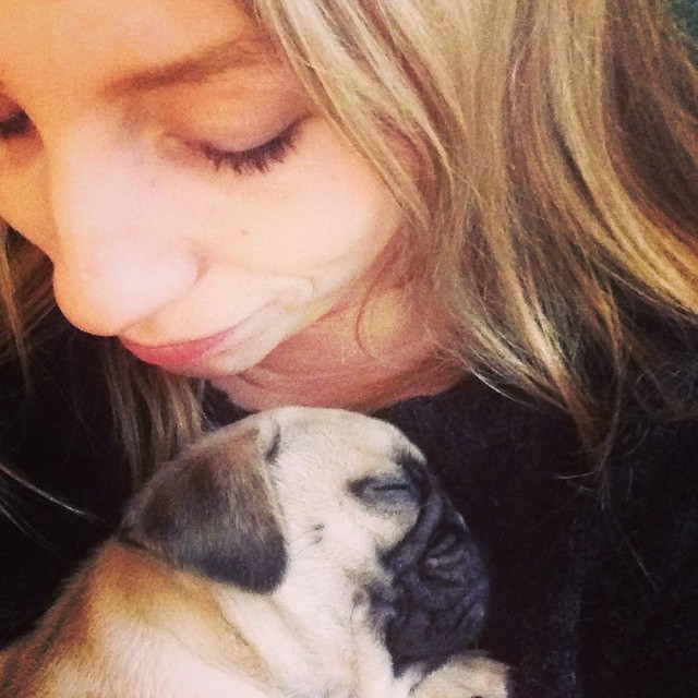 ilovepugs4ever:  Follow Dog Quotes.
