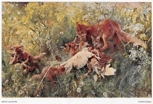 Bruno Liljefors (1860-1939), ‘Fuchsfamilie’ (Fox Family), “Die Kunst für alle&rdqu