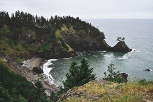 The Oregon Coast will forever hold a special place in my heart