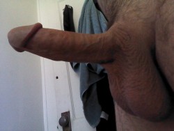 penisobserver:  31/M well her is my average size erect penis what do ya think?