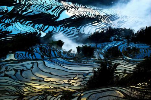 kelledia:  Yuanyang rice terraces, China.  