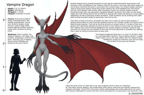 zaggatar:    Did some more on the species of my species of Vampire Dragons, creating a species reference sheet out of the concept art I did of her for the big painting. A bit of stats, backstory as well as a bit more on Mara.  Here’s the painting I