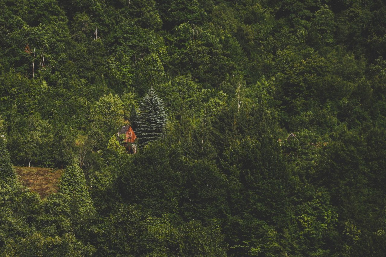 cabinporn:  Cabin in the Dinaric Mountains, Bosnia &amp; Herzegovina.Contributed