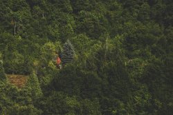 cabinporn:  Cabin in the Dinaric Mountains,