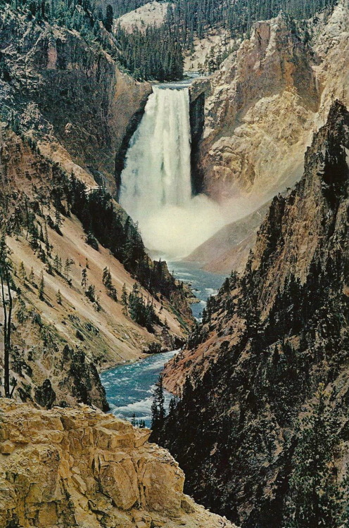 vintagenatgeographic:Lower Falls of the Yellowstone River, WyomingNational Geographic | December 196