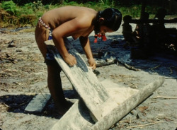   Guyanese woman preparing cassava, from