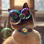 kittykitties