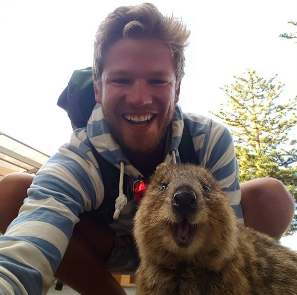 wtbw:  (via It’s Impossible to be Grumpy After You See These Quokka Pics - Neatorama)