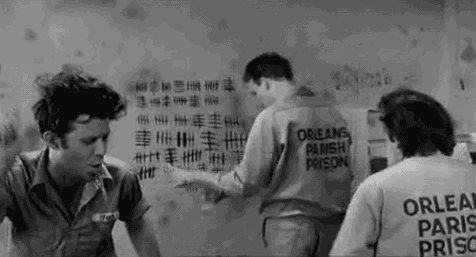  Tom Waits, John Lurie, and Roberto Benigni in Jim Jarmusch’s  Down By Law, 1986 