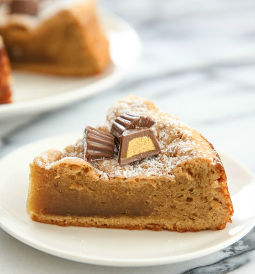 foodffs:  3 INGREDIENT FLOURLESS PEANUT BUTTER CAKEReally nice recipes. Every hour.Show me what you cooked!