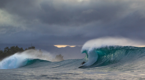 the-ocean-paradise: