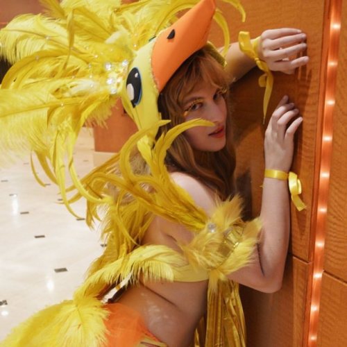 Kweh Kweh Kweh. So my dream DREAM! Is to do a photoshoot In My chocobo nest as my chocobo cause afte