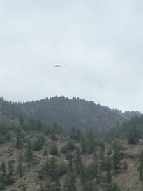 Anythingufo:  Disc Shaped Ufo Photographed Above A Gold Mining Town In Colorado 