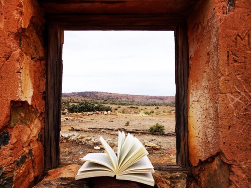 thetravelingbookworm: Books are a window into another world