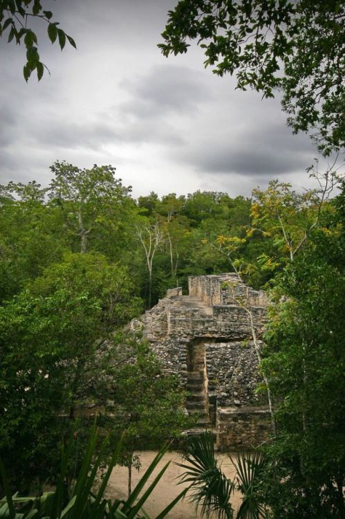 Mayan pyramids in Coba / Mexico (by Luis Rodrigues).