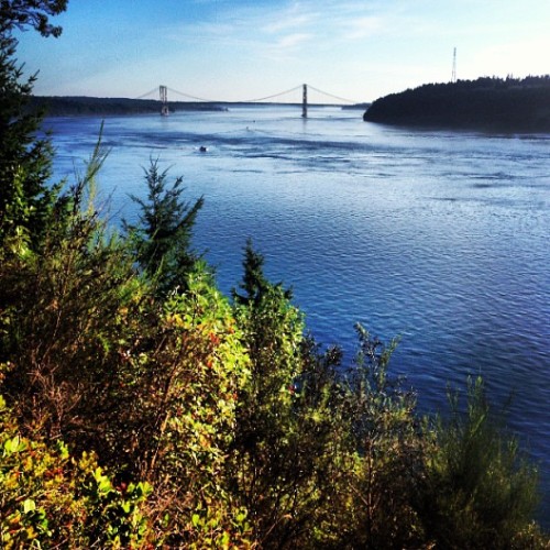 i-am-joey-g:One of my FAVORITE views. #washington #seattle #nature #pointdefiance (at Point Defiance