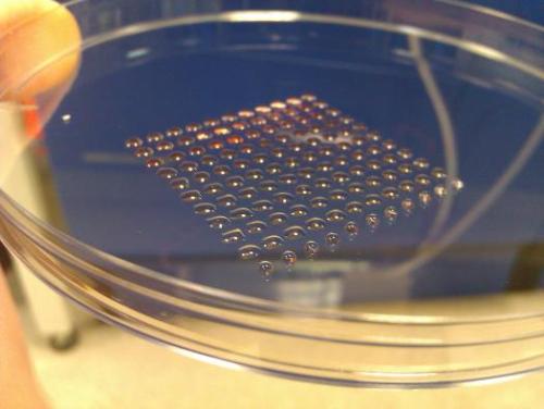 marielikestodraw:  shinywen:  scienceyoucanlove:  3D printing with stem cells could lead to printable organs A potentially breakthrough 3D-printing process using human stem cells could be the precursor to printing organs from a patient’s own cells.