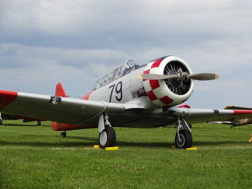 Might be my favorite “hero” shot of a T-6 that I took, this RNZAF Harvard. Oshkosh 2017.