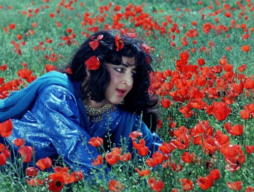 From the Afghan movie “Hamas-e Eshq ” 1986.