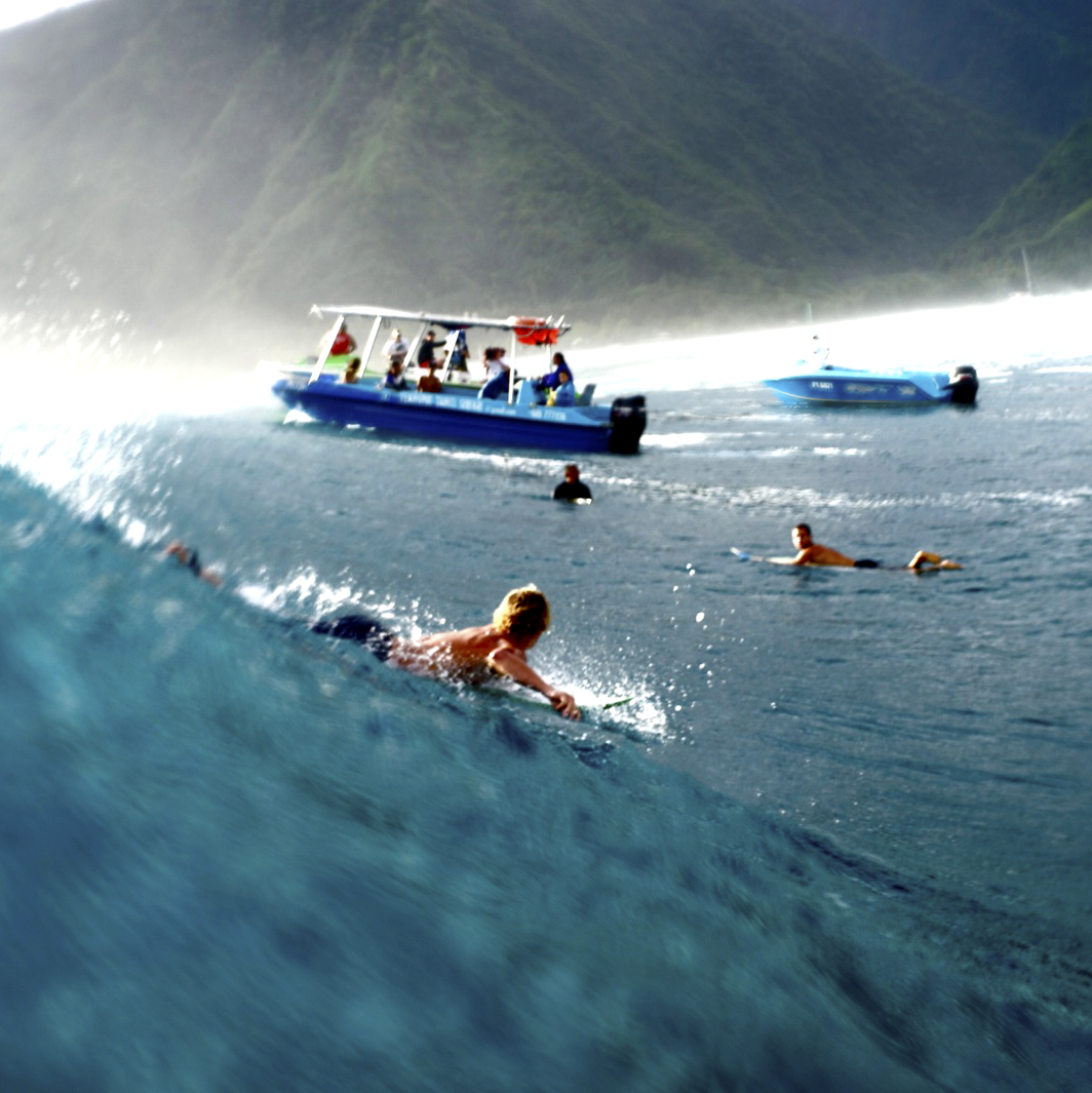 dream big surf hard