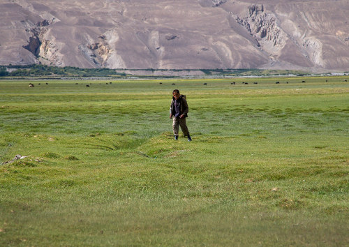 Boy collecting yak dungs to make fire, Badakhshan province, Qazi deh, Afghanistan. Taken on August 9